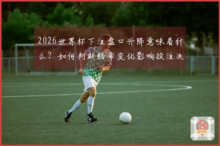 2026世界杯下注盘口升降意味着什么？如何判断赔率变化影响投注决策