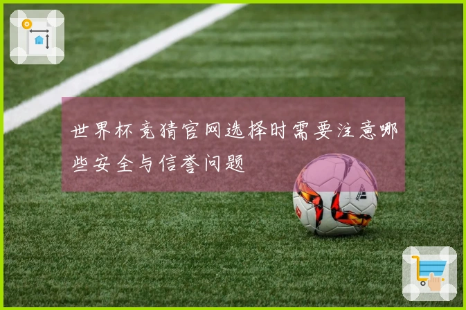 世界杯竞猜官网选择时需要注意哪些安全与信誉问题