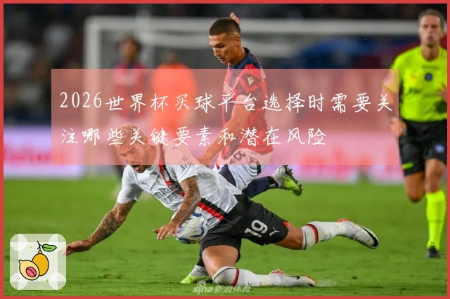 2026世界杯买球平台选择时需要关注哪些关键要素和潜在风险